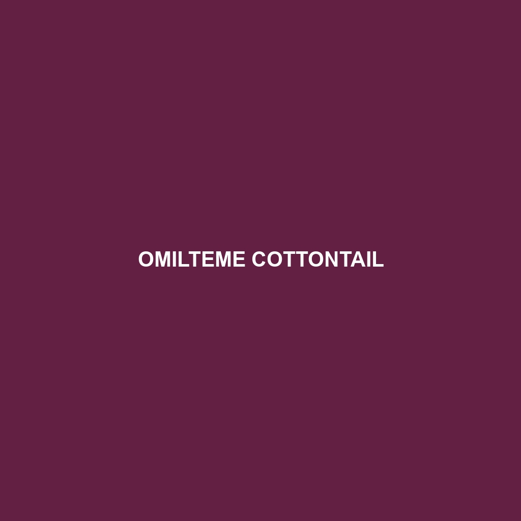 Omilteme Cottontail