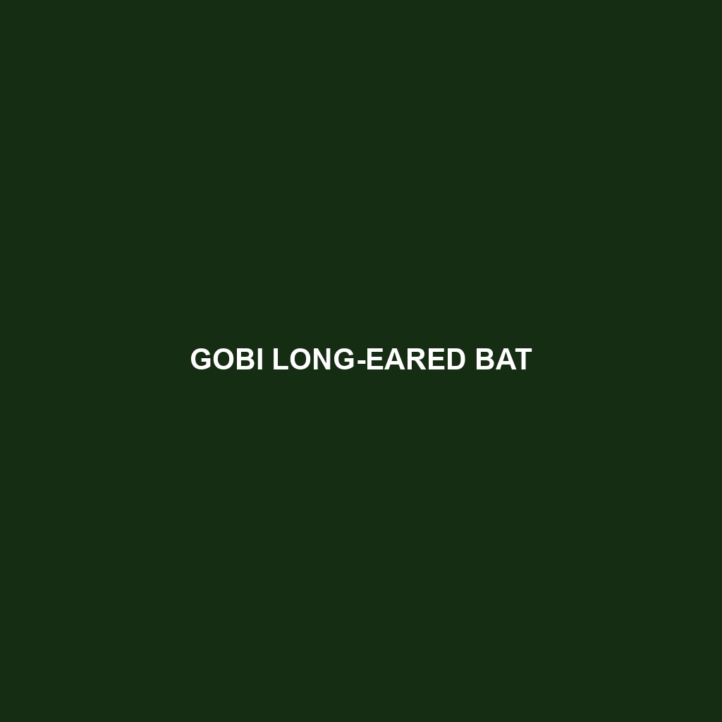 Gobi Long-eared Bat