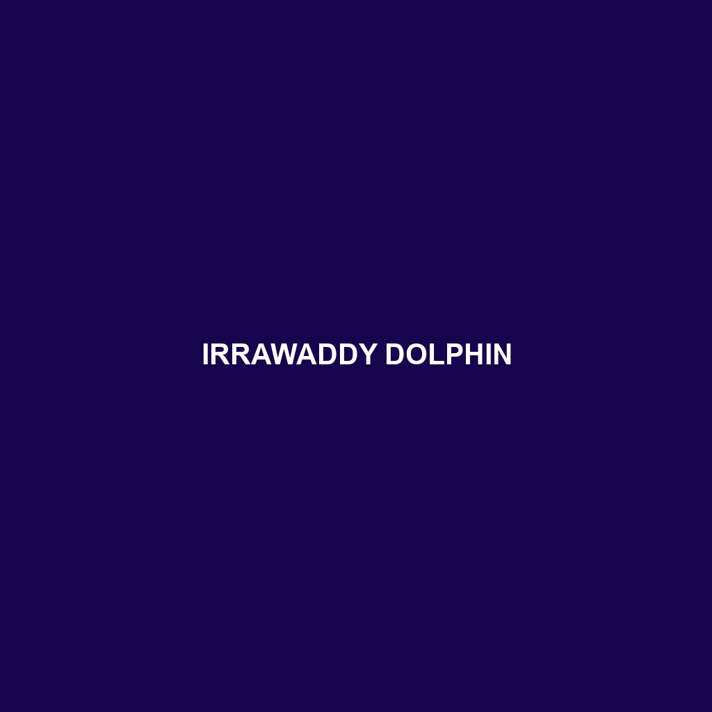 Irrawaddy Dolphin