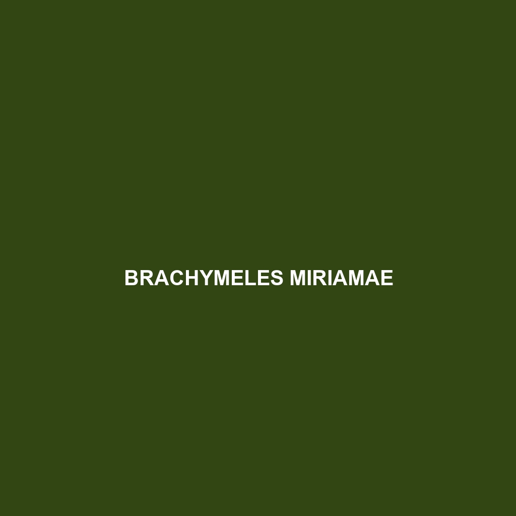 Brachymeles miriamae