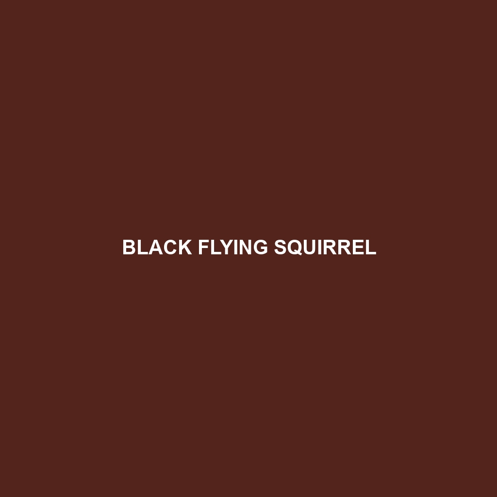 Black Flying Squirrel