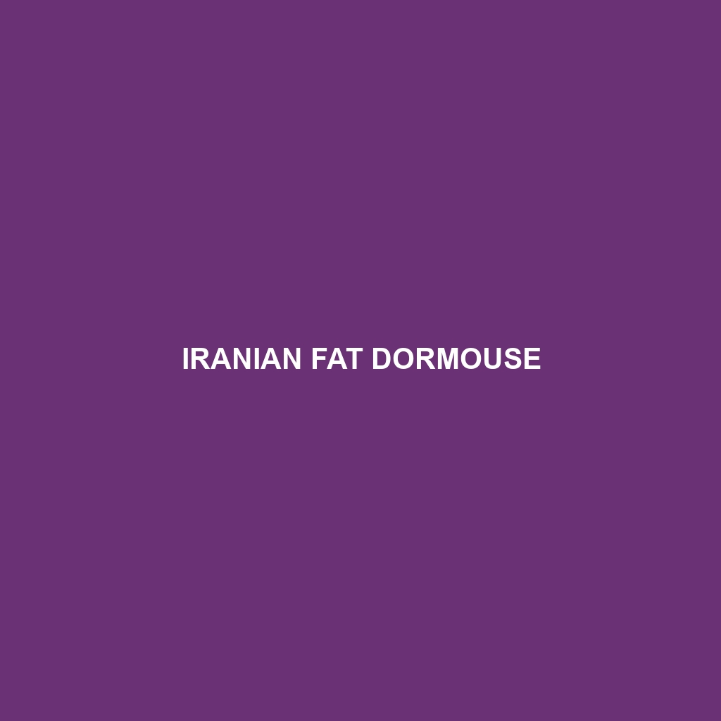 Iranian Fat Dormouse