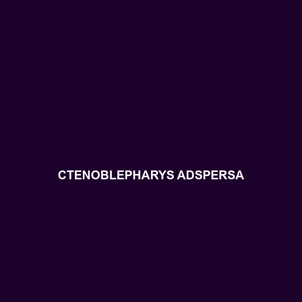 Ctenoblepharys adspersa