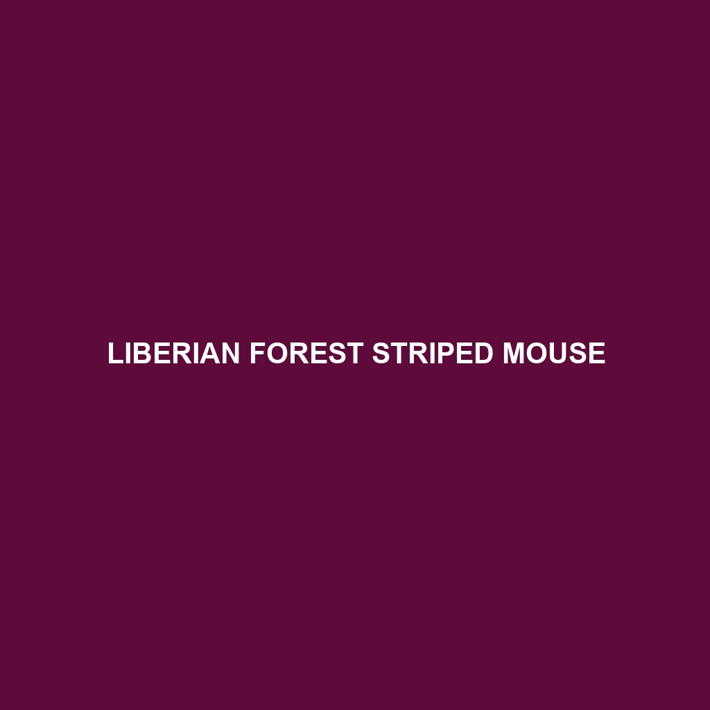 Liberian Forest Striped Mouse