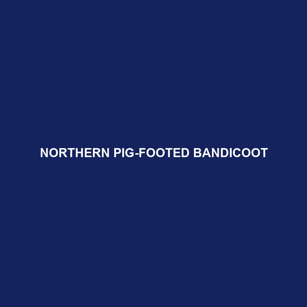 Northern Pig-footed Bandicoot