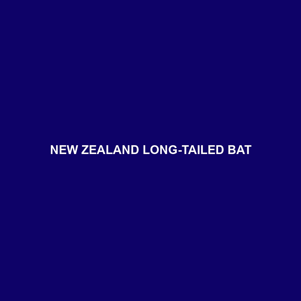 New Zealand Long-tailed Bat