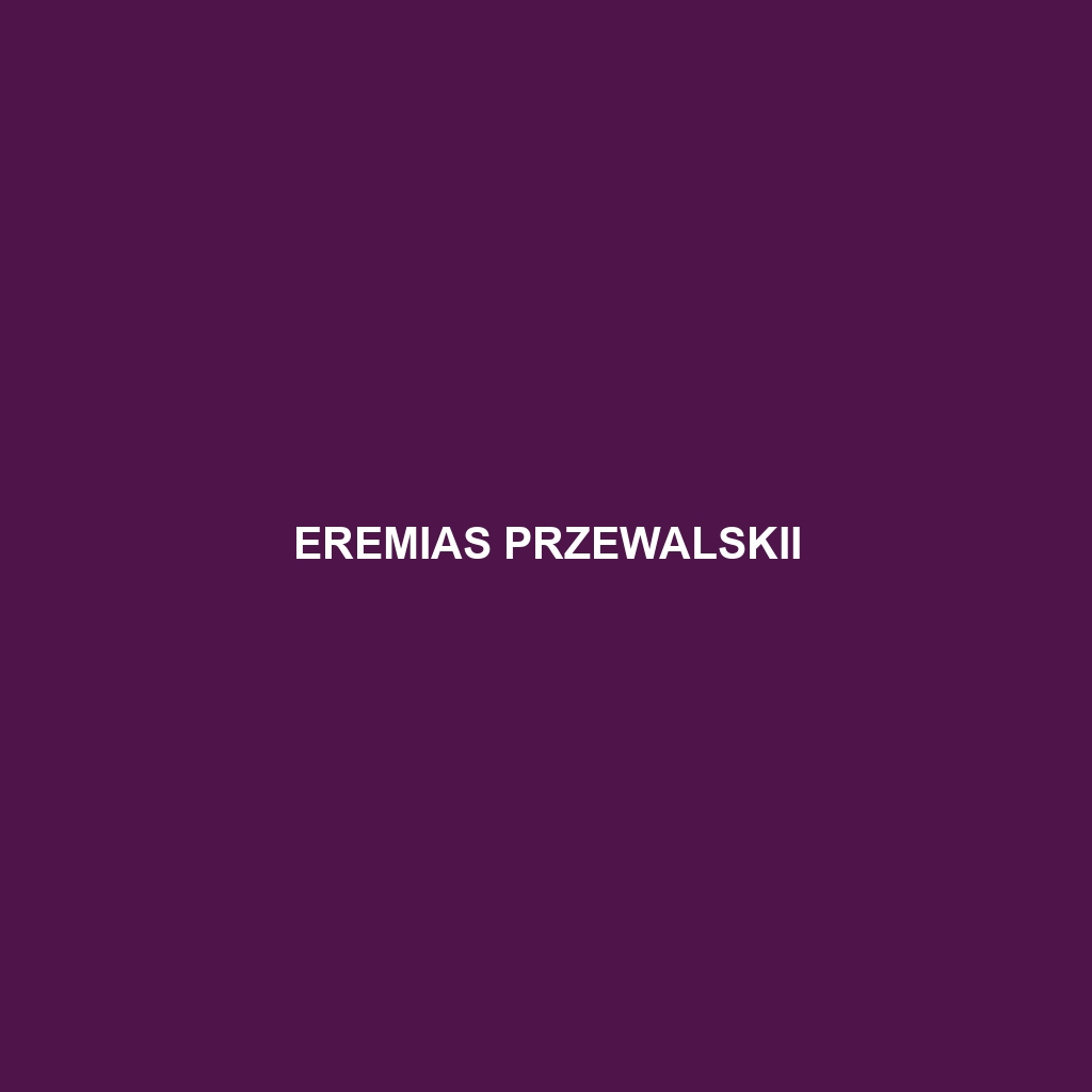 Eremias przewalskii