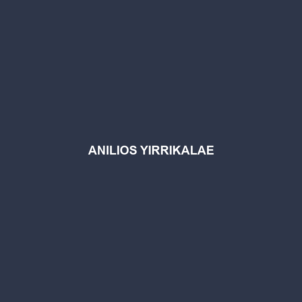 Anilios yirrikalae