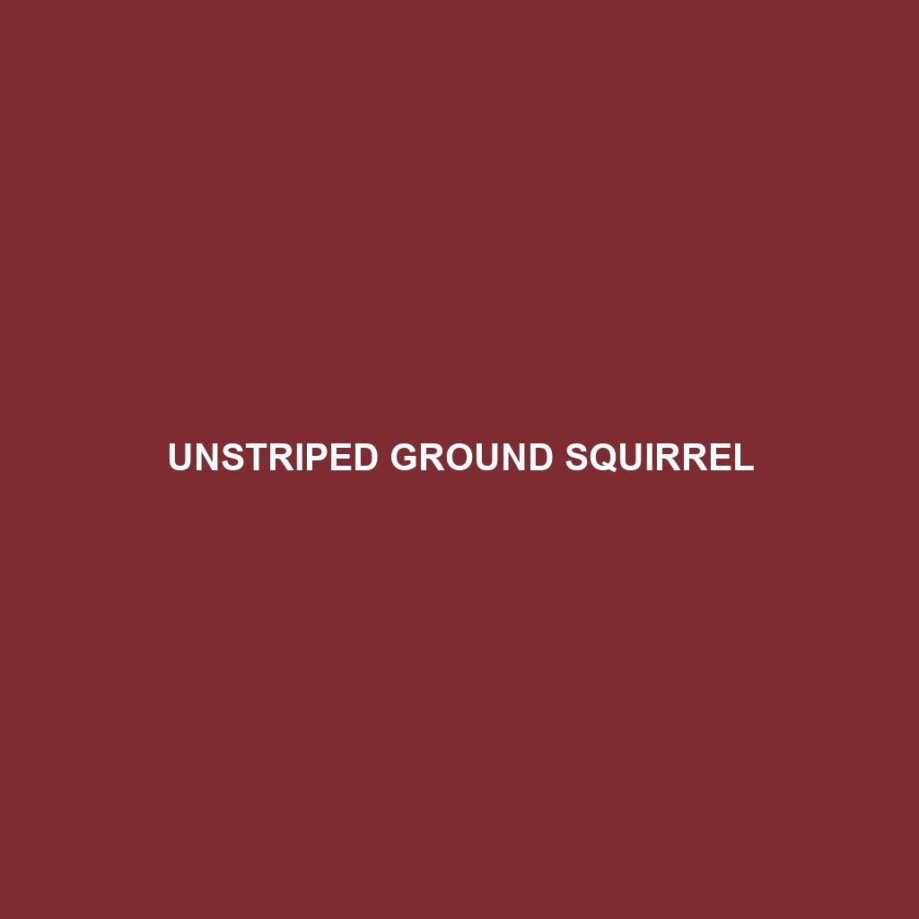 Unstriped Ground Squirrel