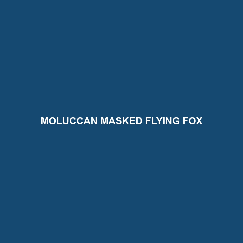 Moluccan Masked Flying Fox