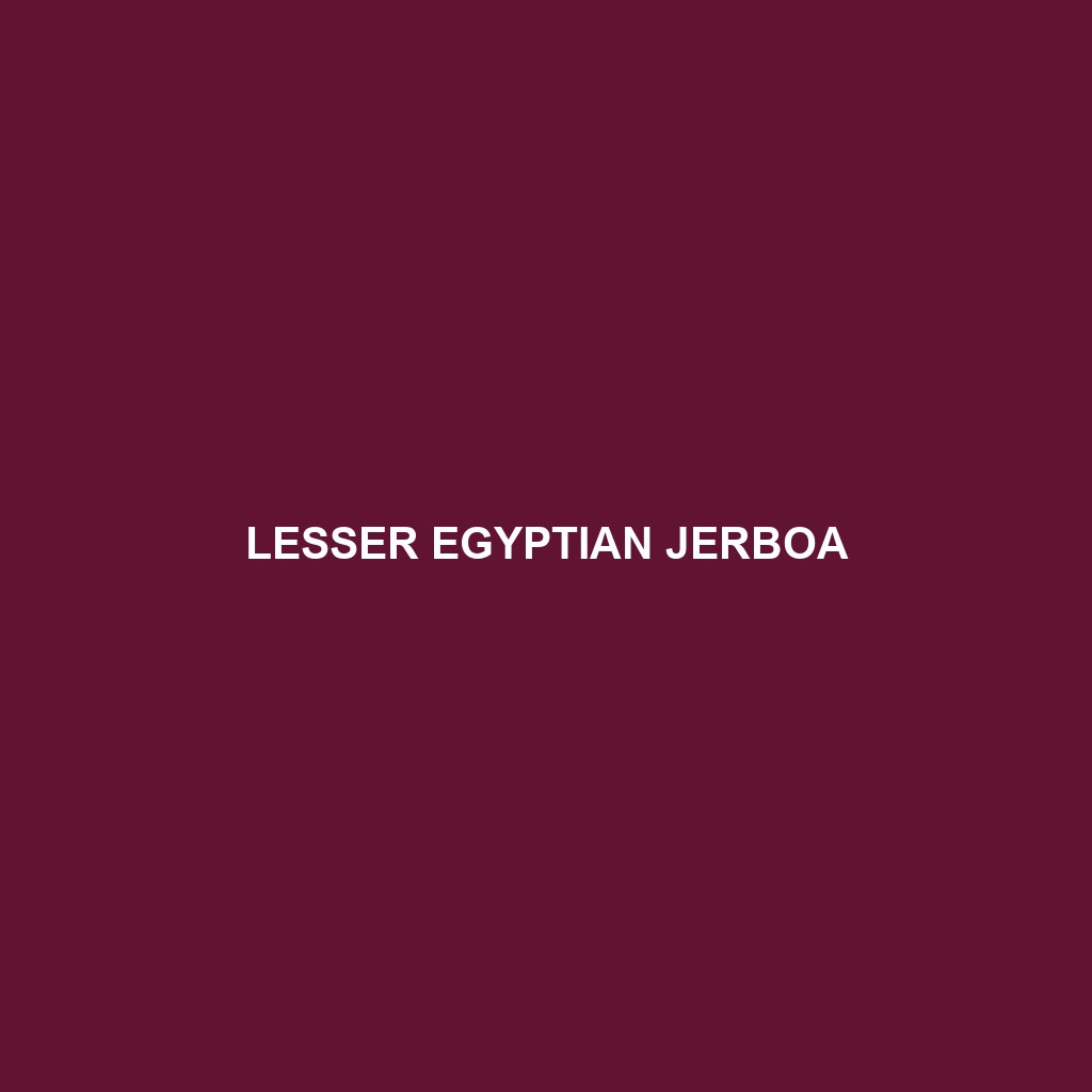 Lesser Egyptian Jerboa