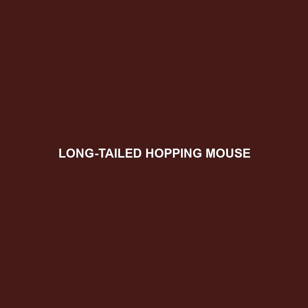 Long-tailed Hopping Mouse