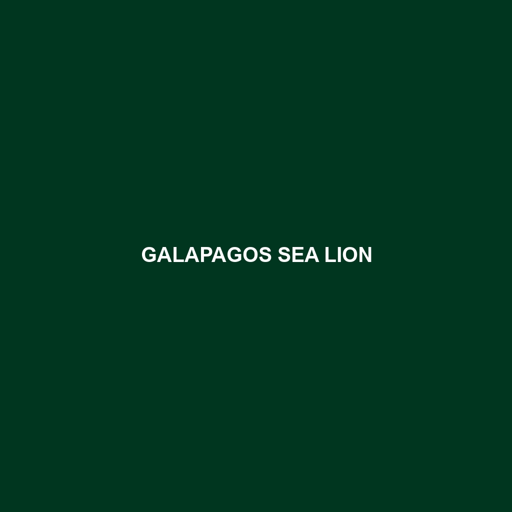 Galapagos Sea Lion