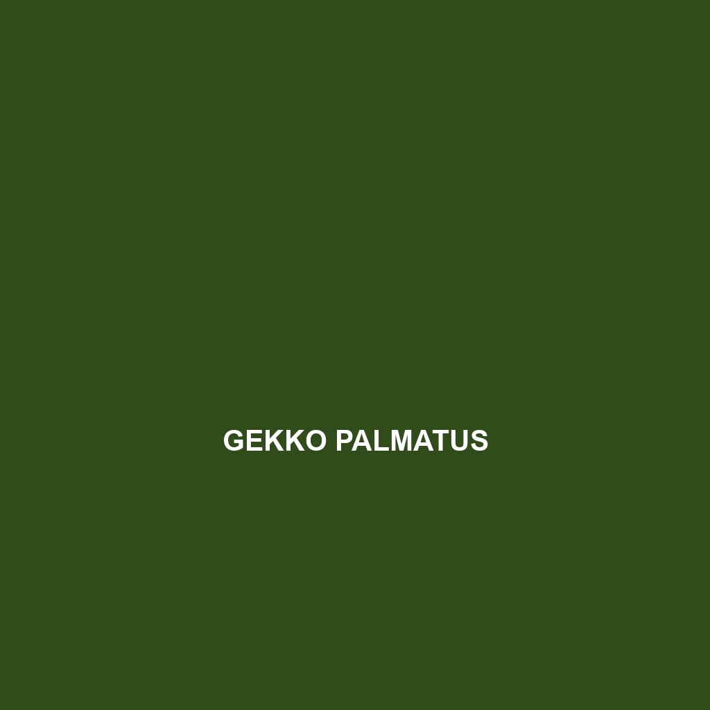 Gekko palmatus