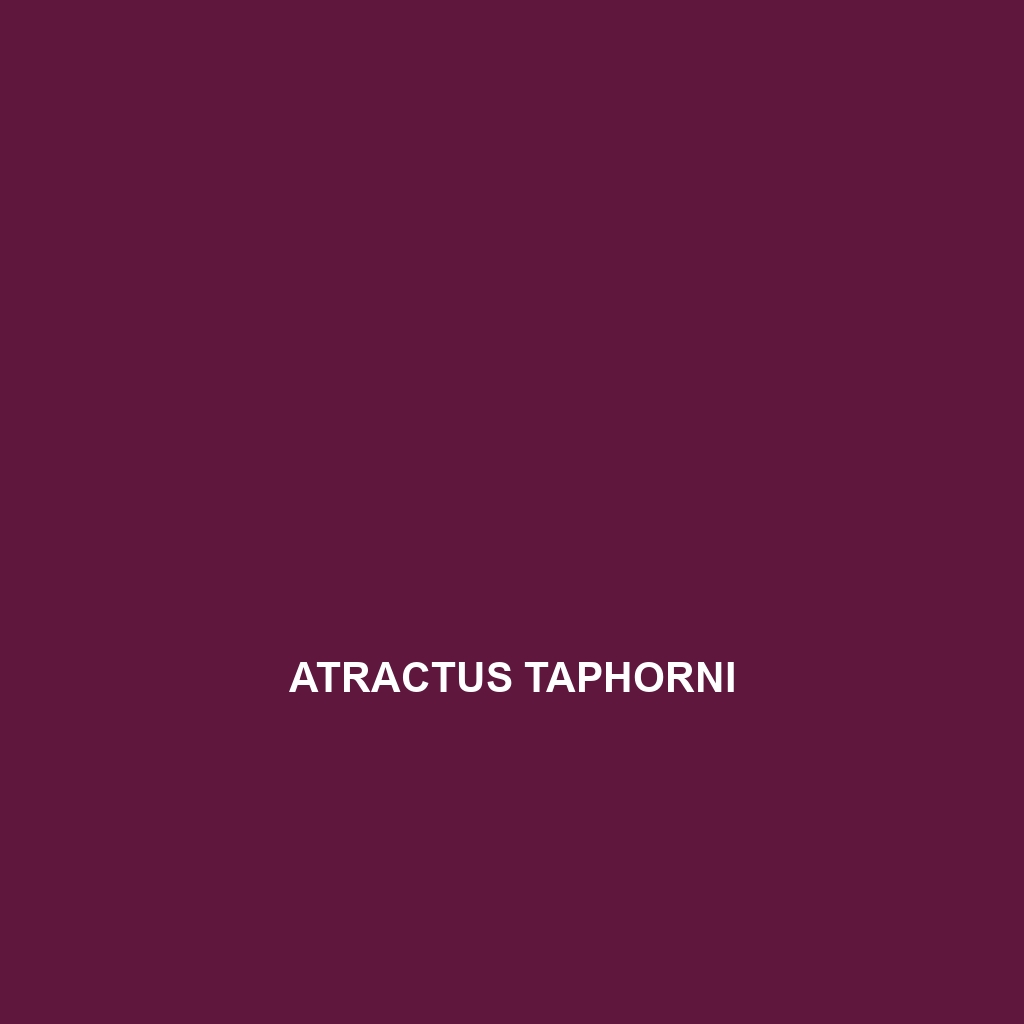 Atractus taphorni