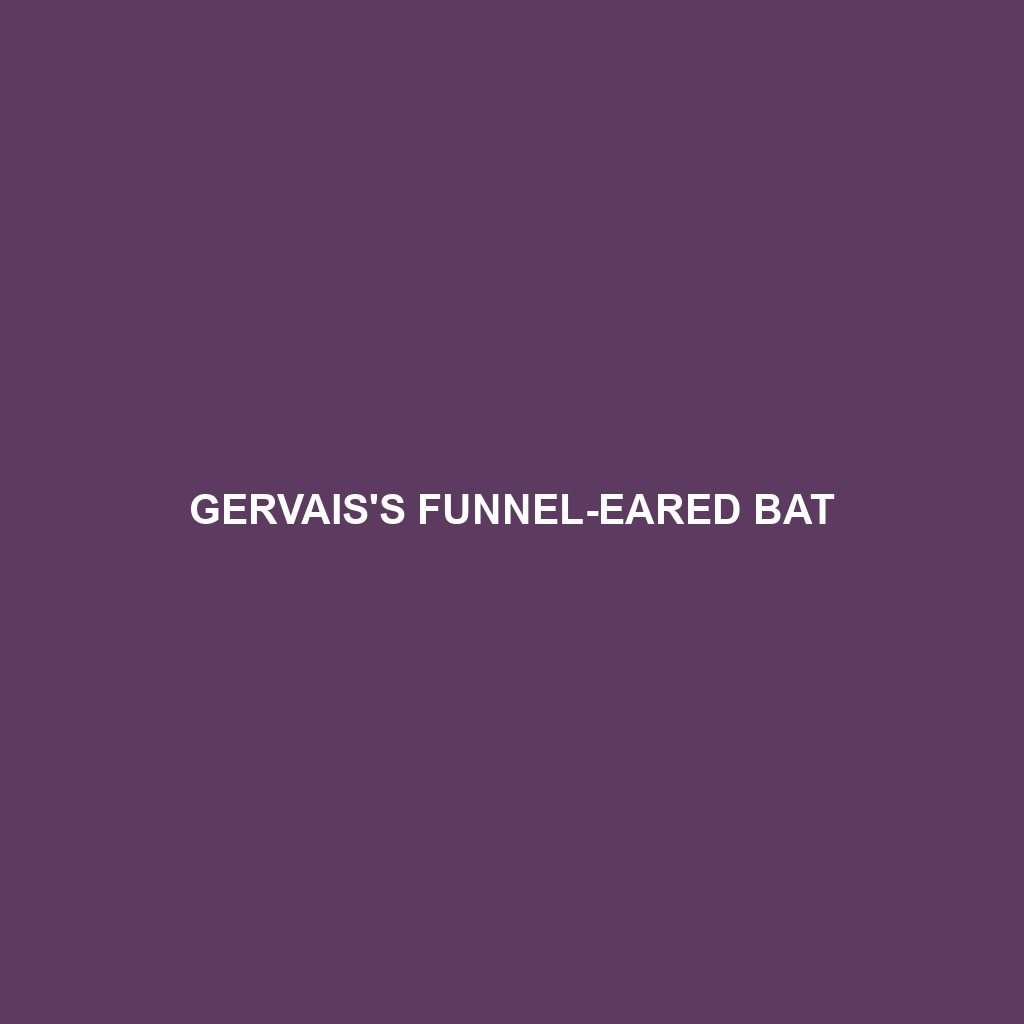 Gervais's Funnel-eared Bat