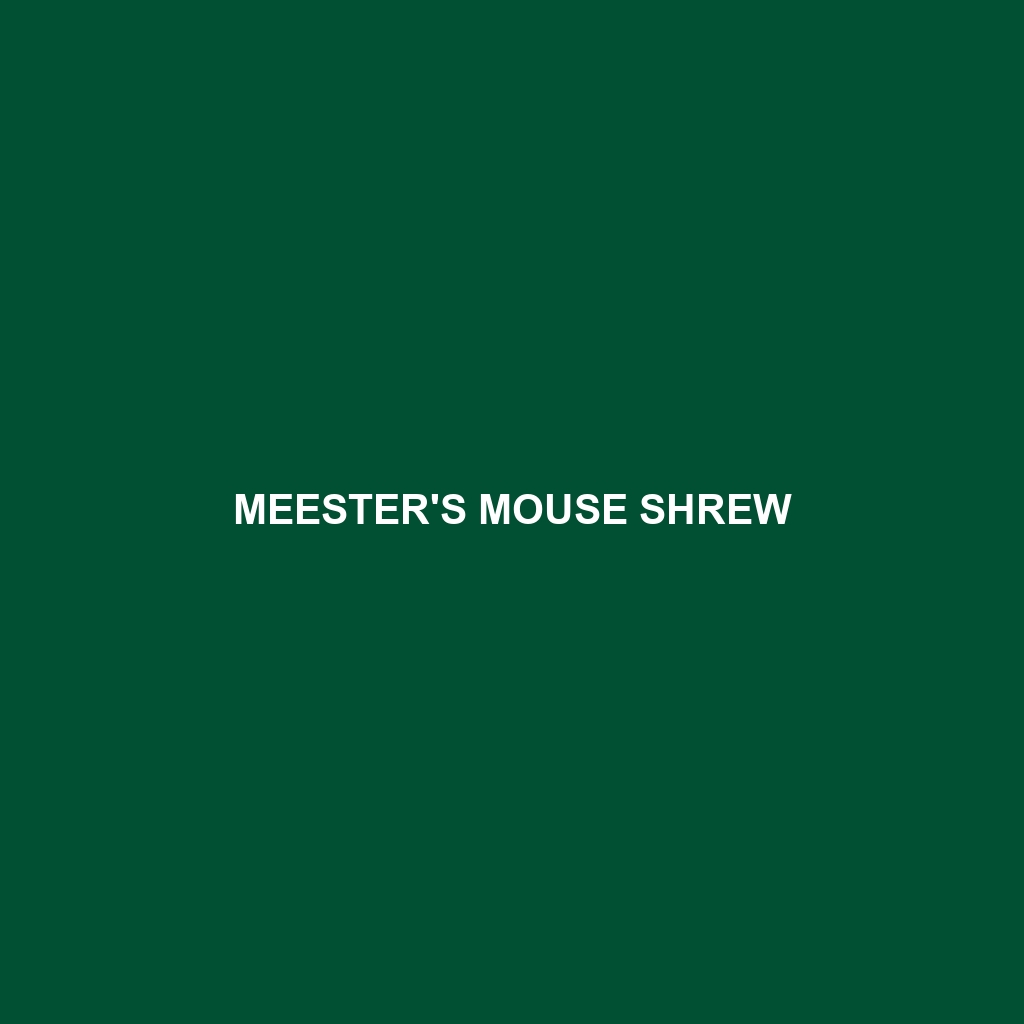 Meester's Mouse Shrew