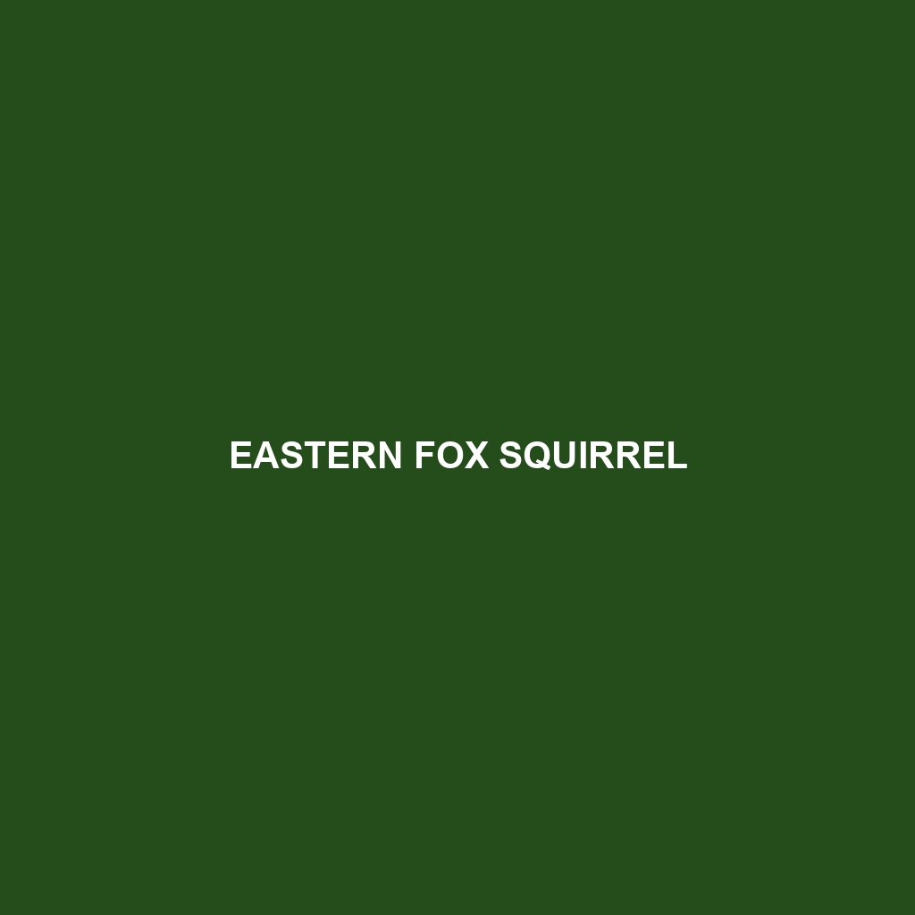 Eastern Fox Squirrel