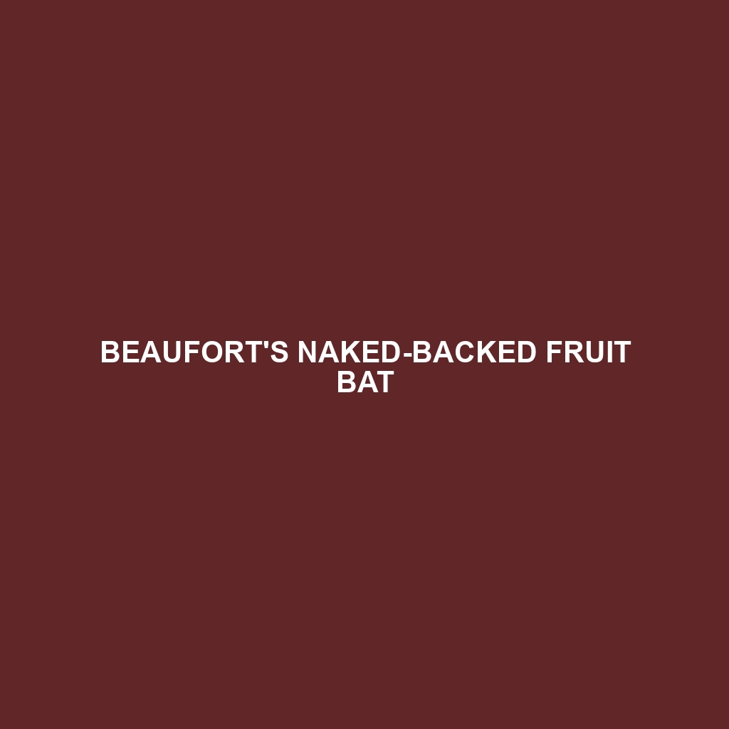 Beaufort's Naked-backed Fruit Bat