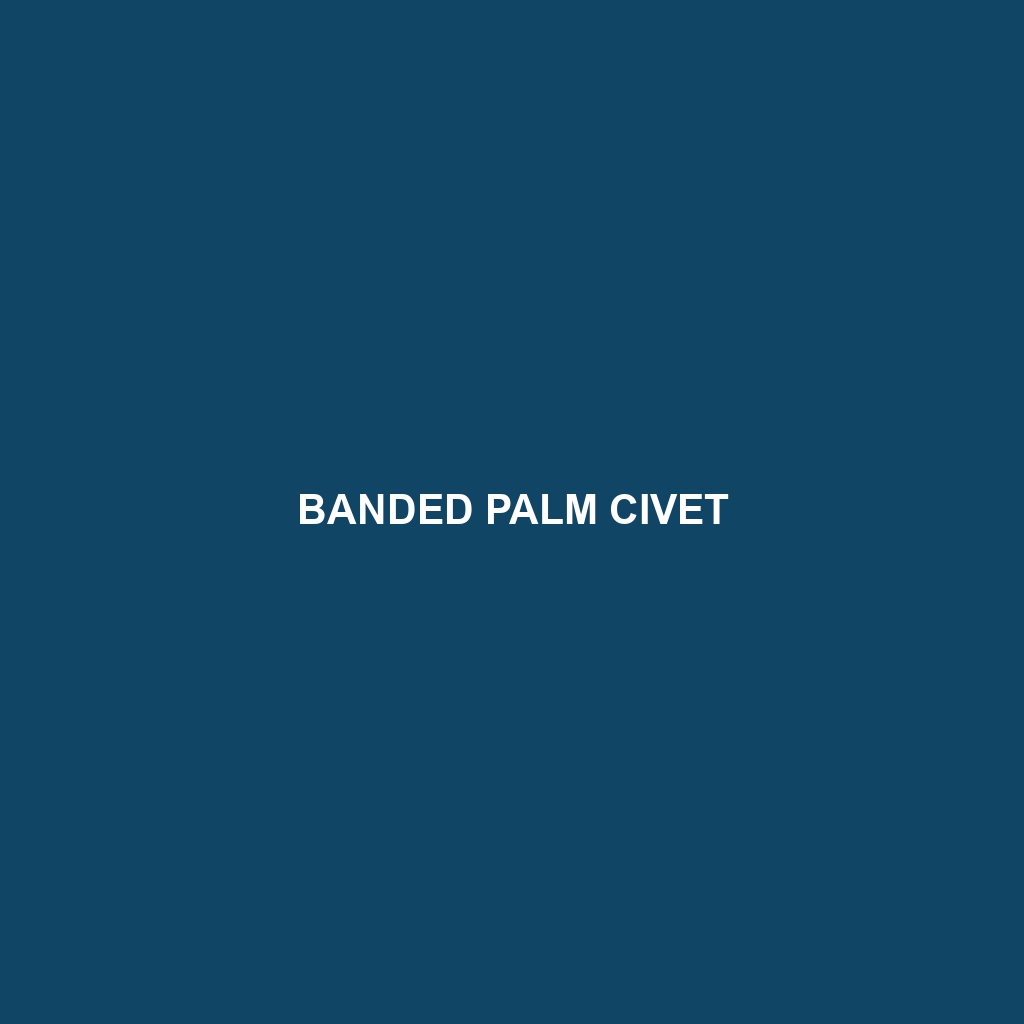 Banded Palm Civet