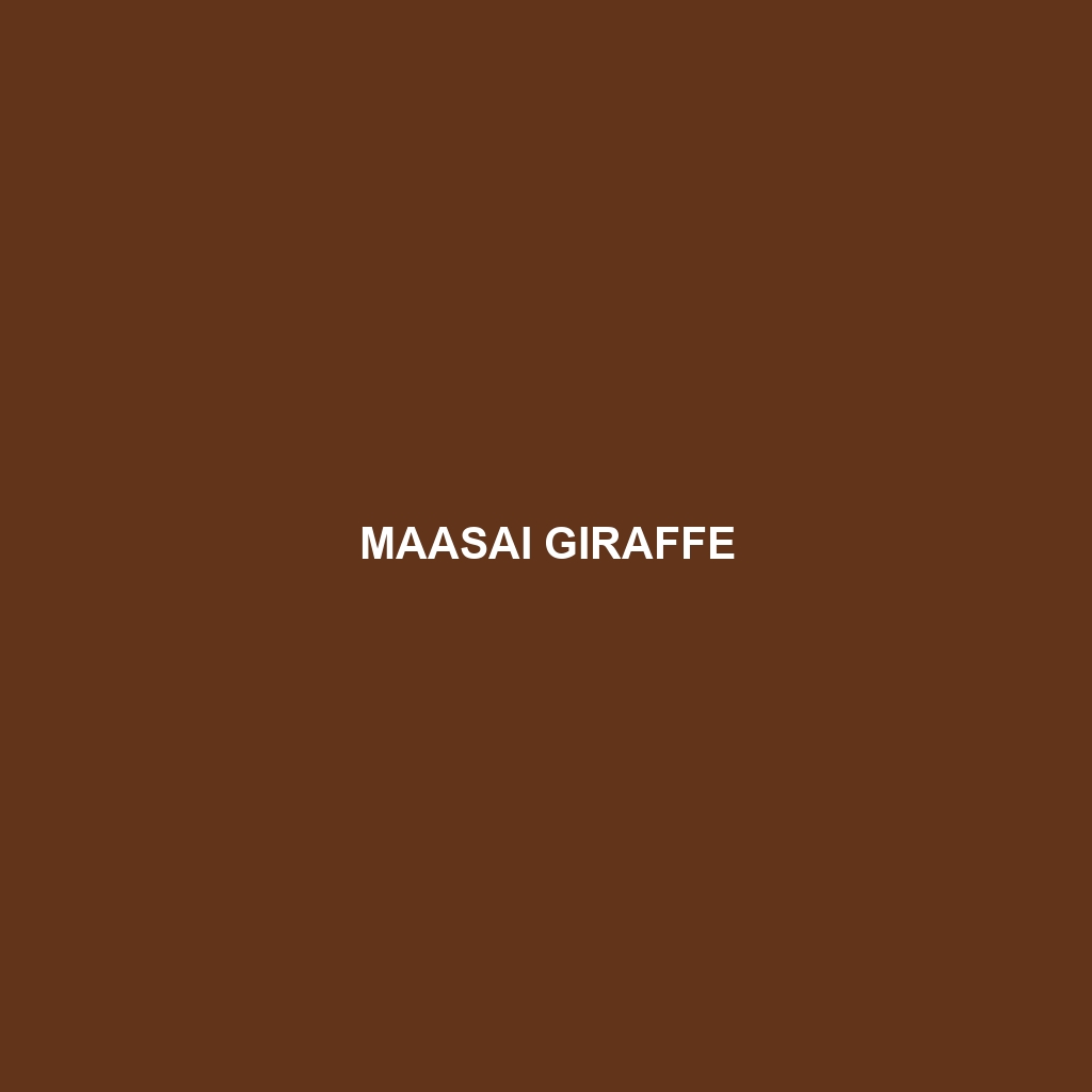 Maasai Giraffe