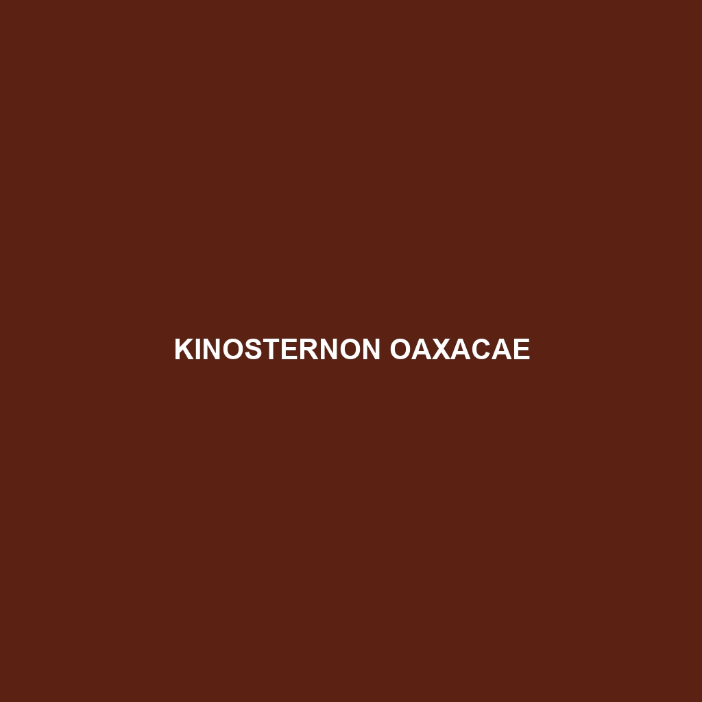 Kinosternon oaxacae