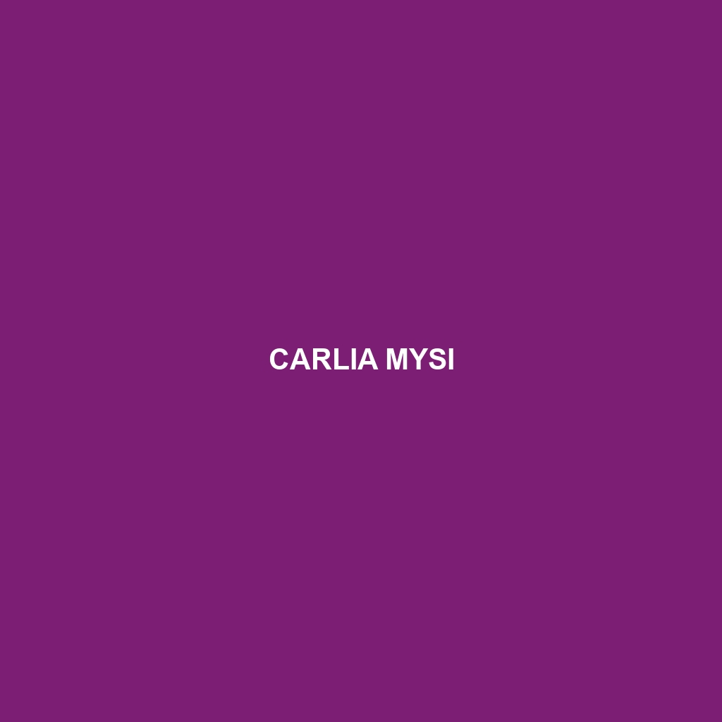 Carlia mysi