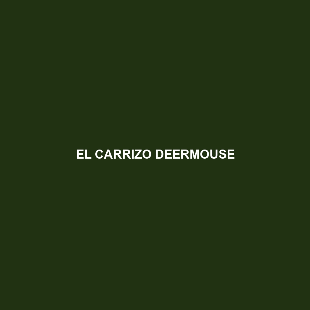 El Carrizo Deermouse