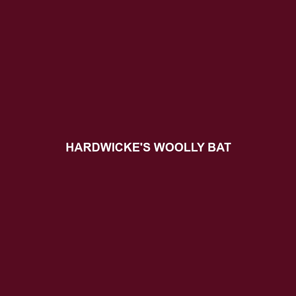 Hardwicke's Woolly Bat