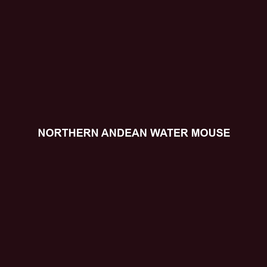 Northern Andean Water Mouse