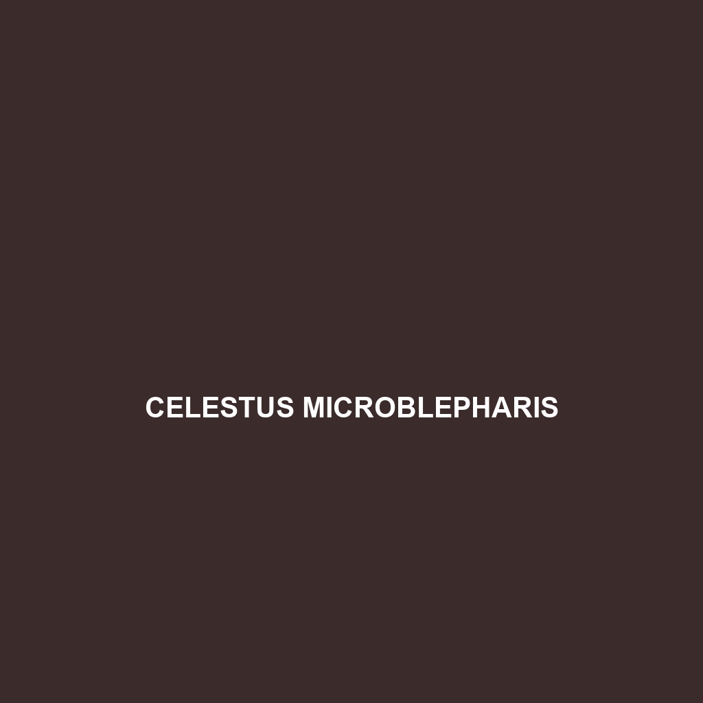 Celestus microblepharis