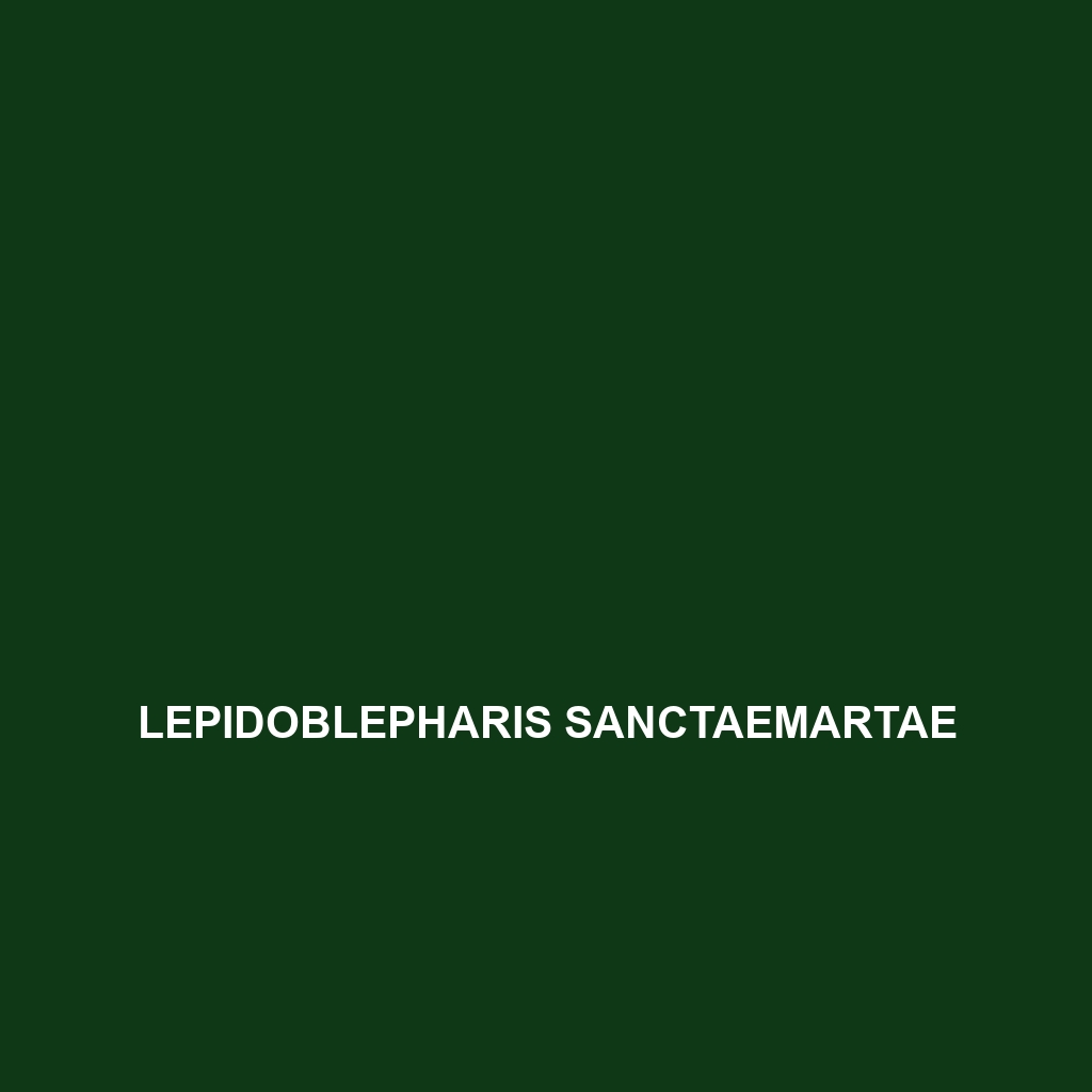 Lepidoblepharis sanctaemartae