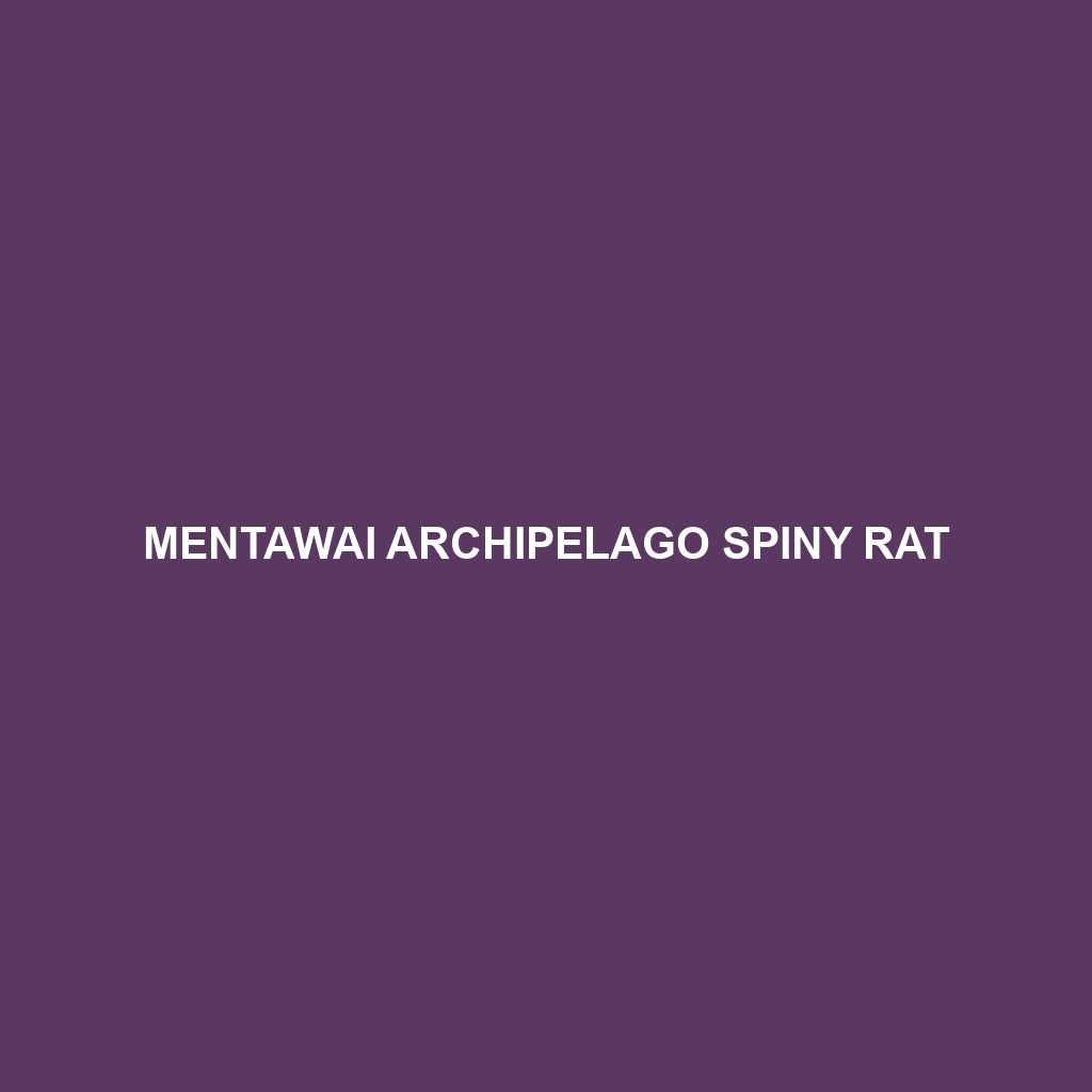 Mentawai Archipelago Spiny Rat