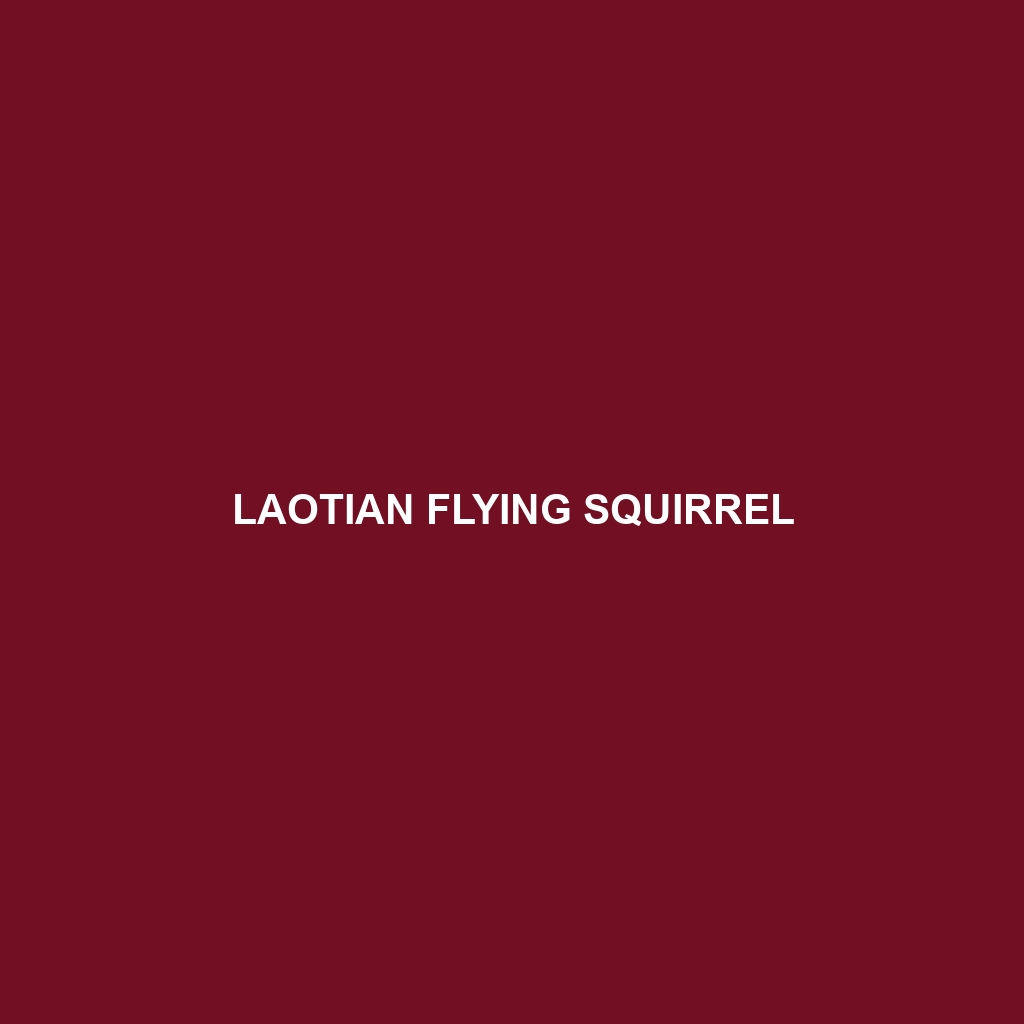 Laotian Flying Squirrel