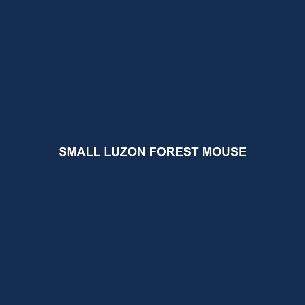 Small Luzon Forest Mouse