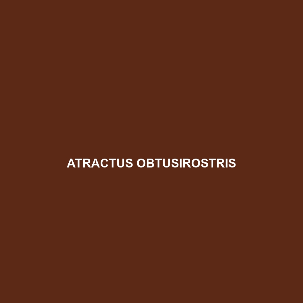 Atractus obtusirostris