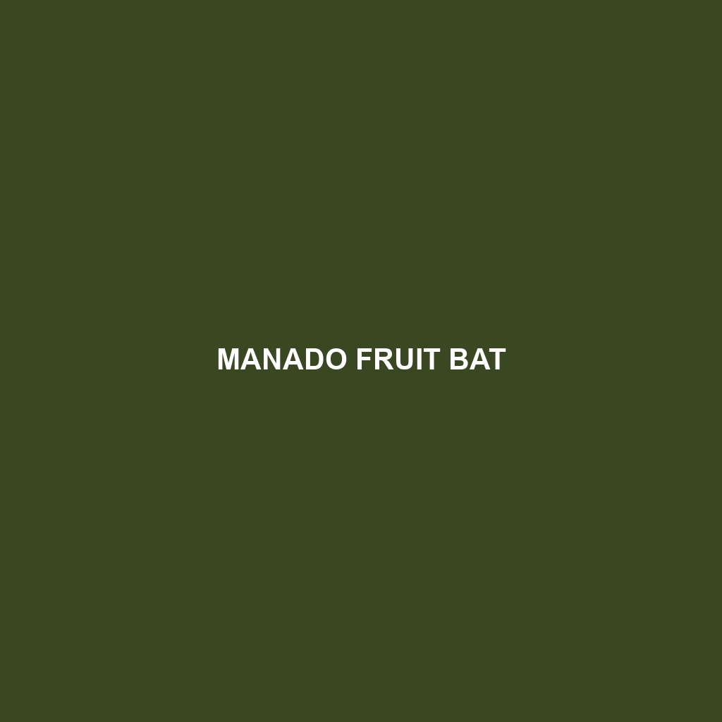 Manado Fruit Bat