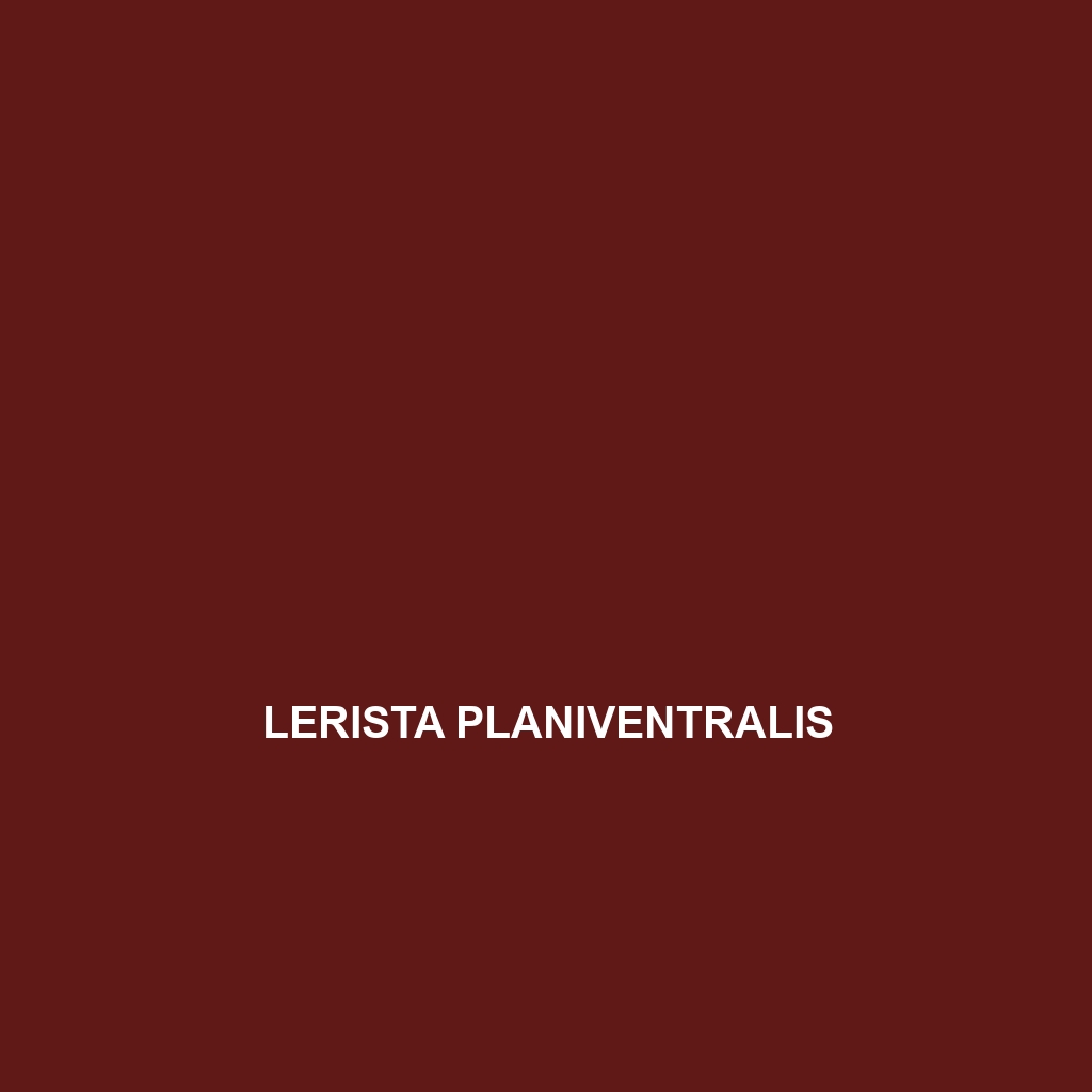 Lerista planiventralis