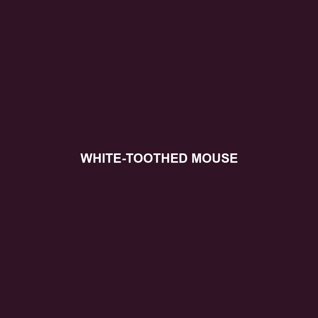 White-toothed Mouse