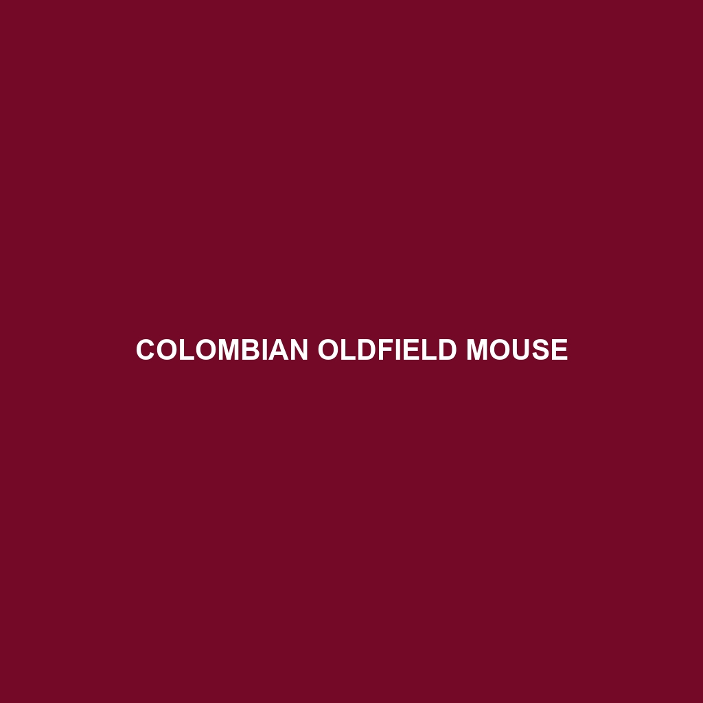 Colombian Oldfield Mouse