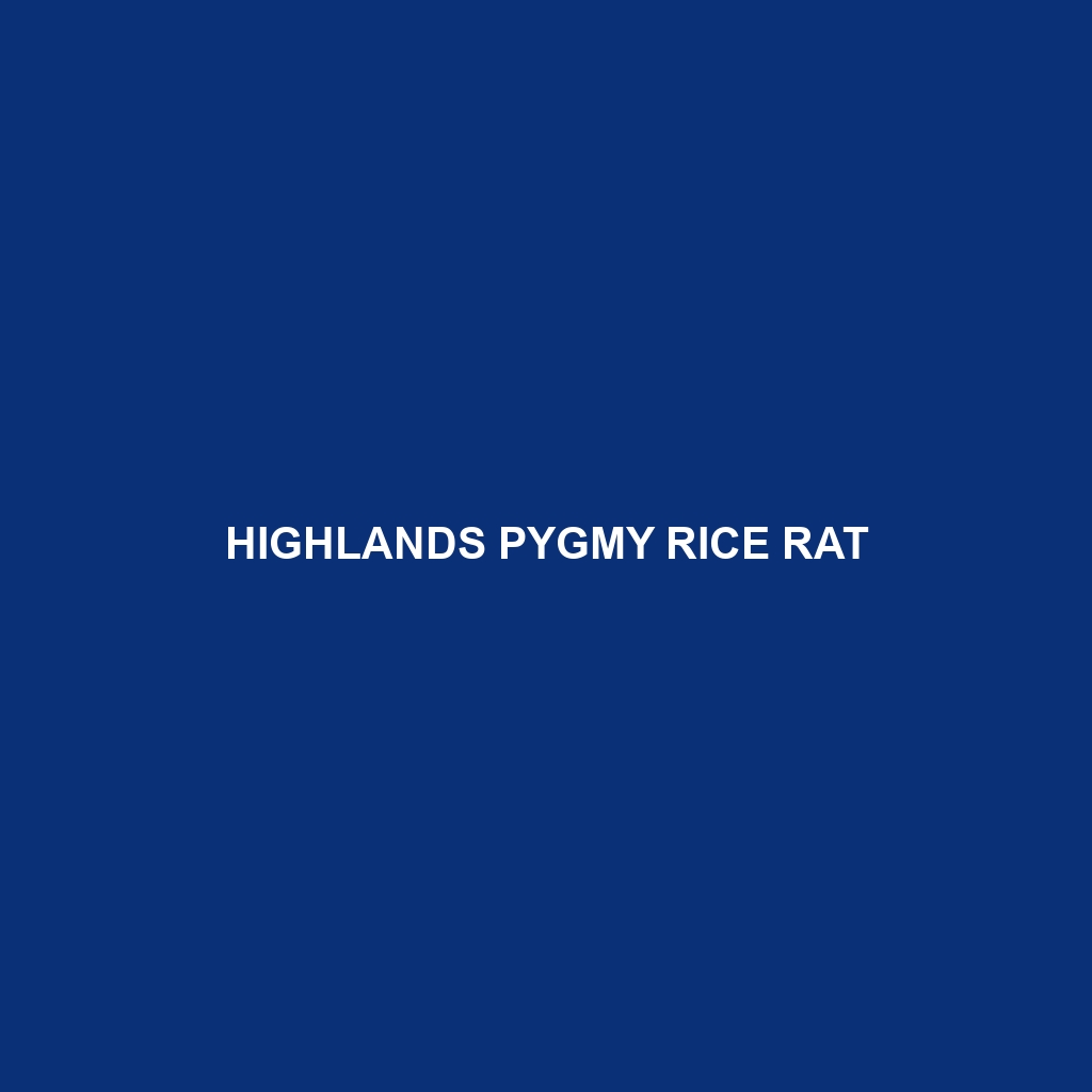 Highlands Pygmy Rice Rat