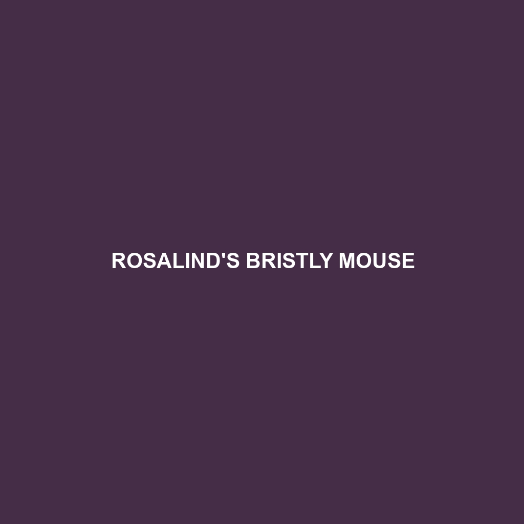 Rosalind's Bristly Mouse