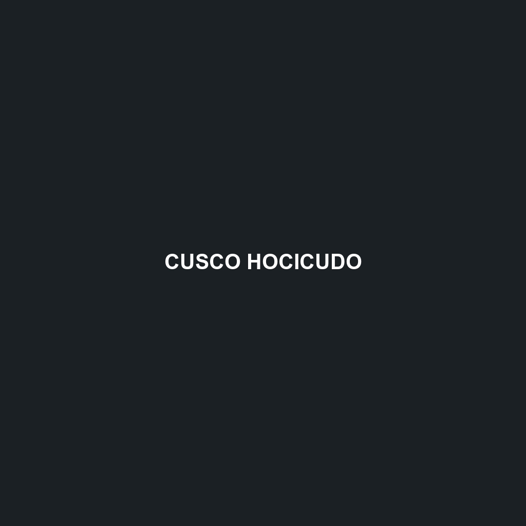 Cusco Hocicudo