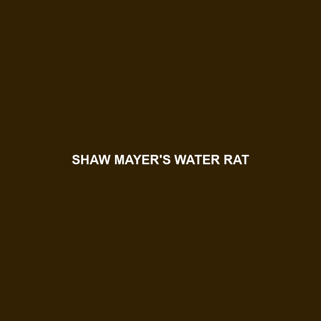 Shaw Mayer's Water Rat