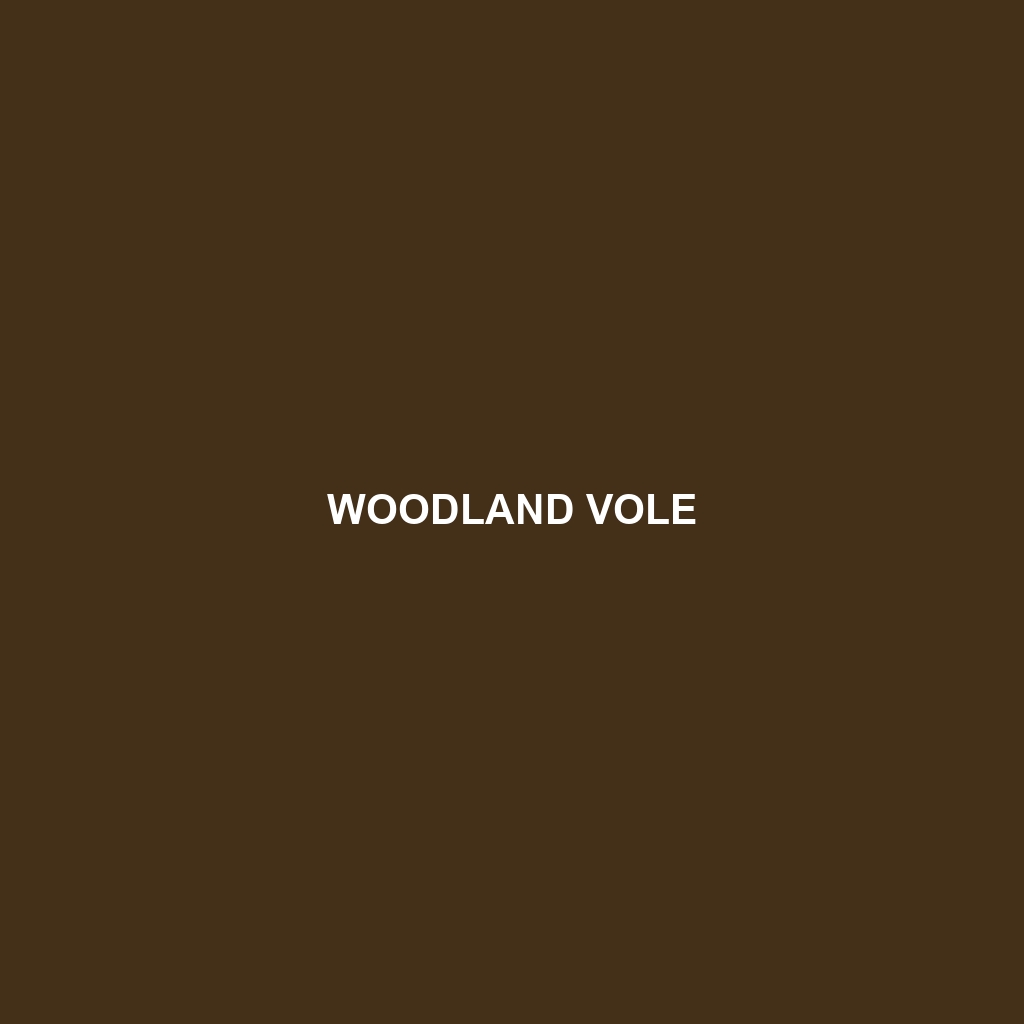 Woodland Vole