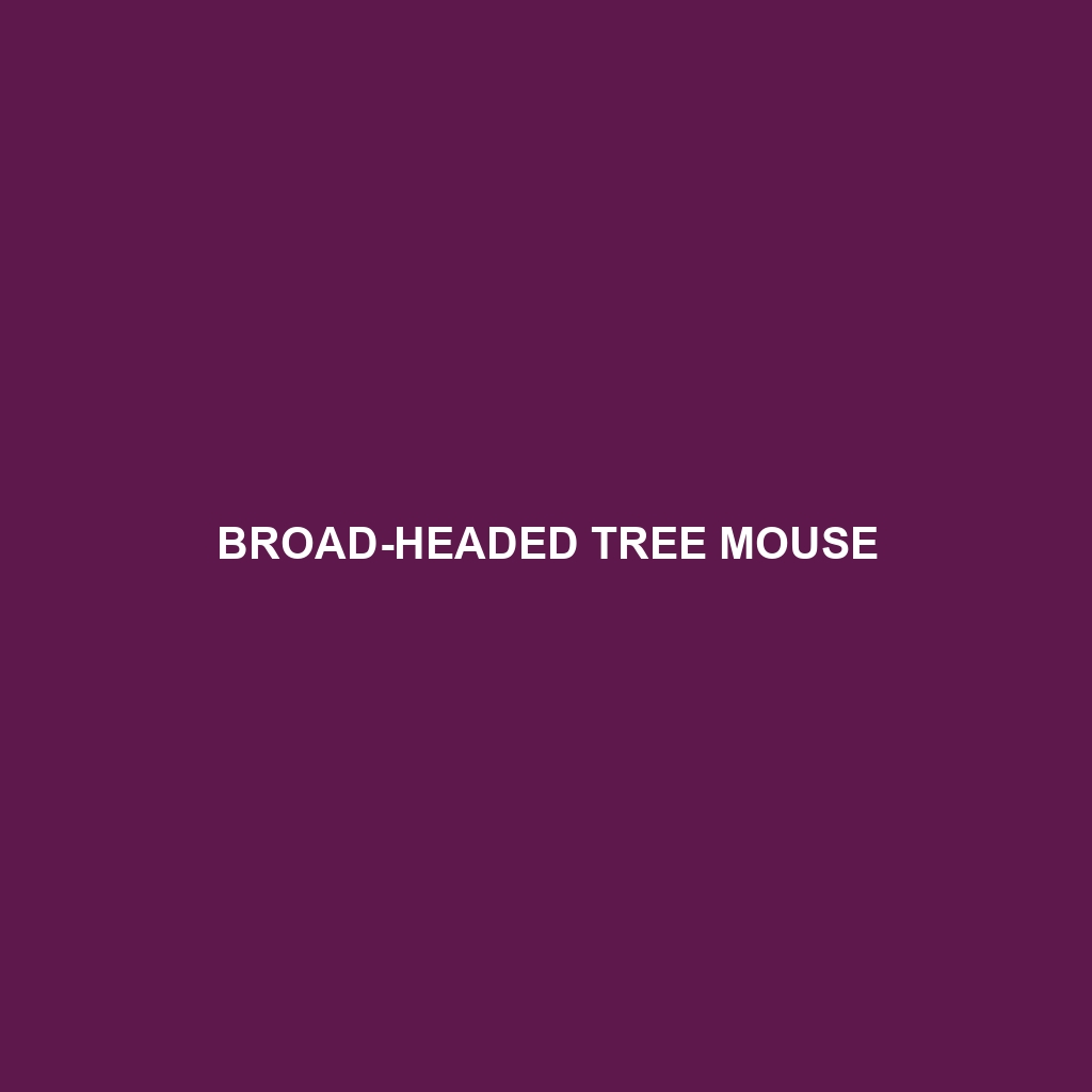 Broad-headed Tree Mouse