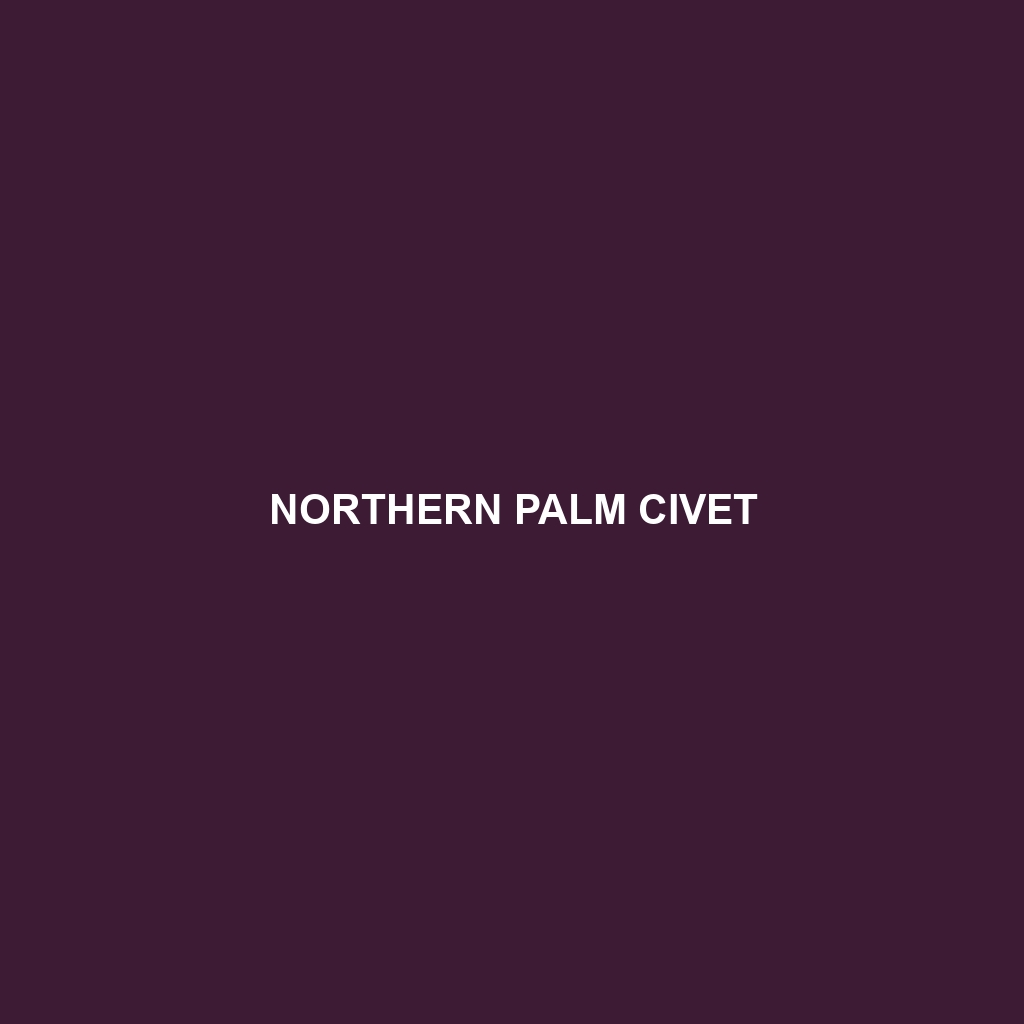 Northern Palm Civet