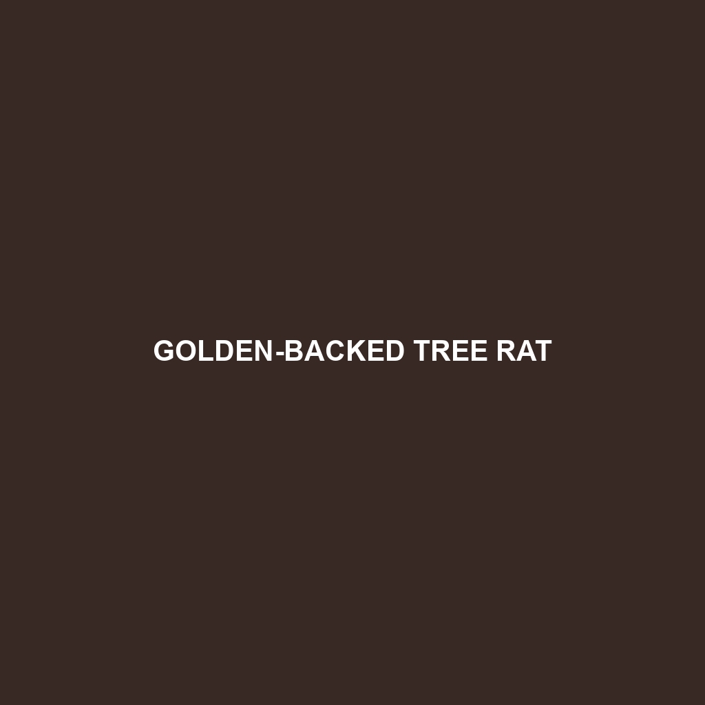 Golden-backed Tree Rat