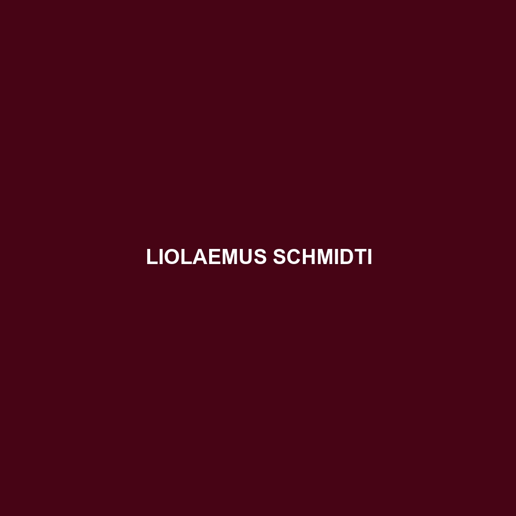 Liolaemus schmidti