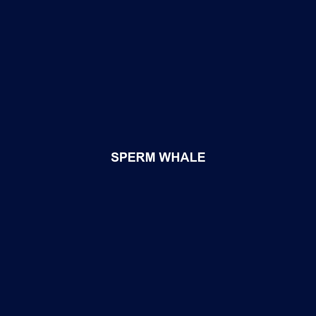 Sperm Whale